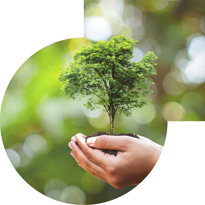 关怀人类、文化、环境与社会